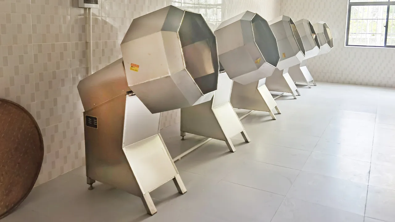 Hainan Wuzhishan Zongzi Mixer, China