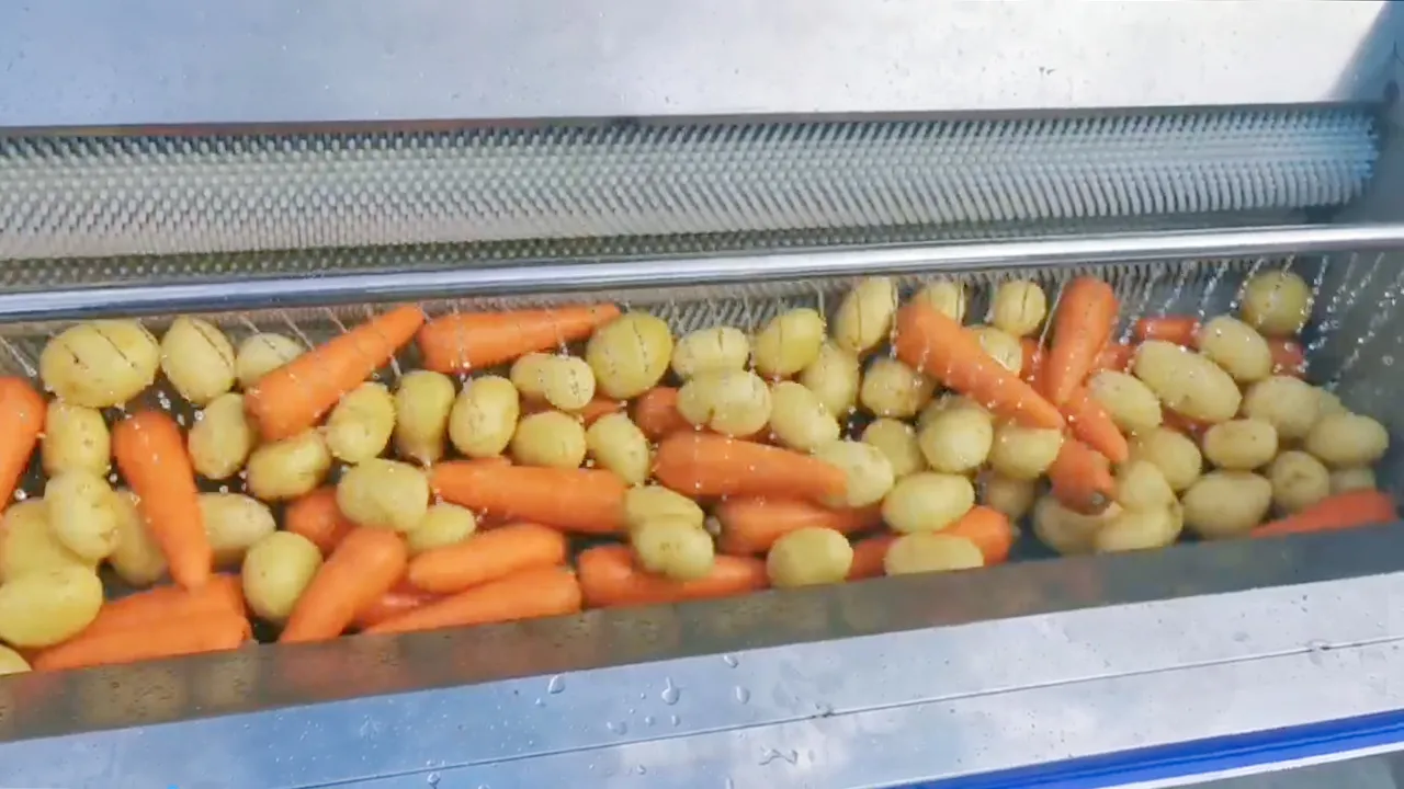 Carrot cleaning and peeling machine