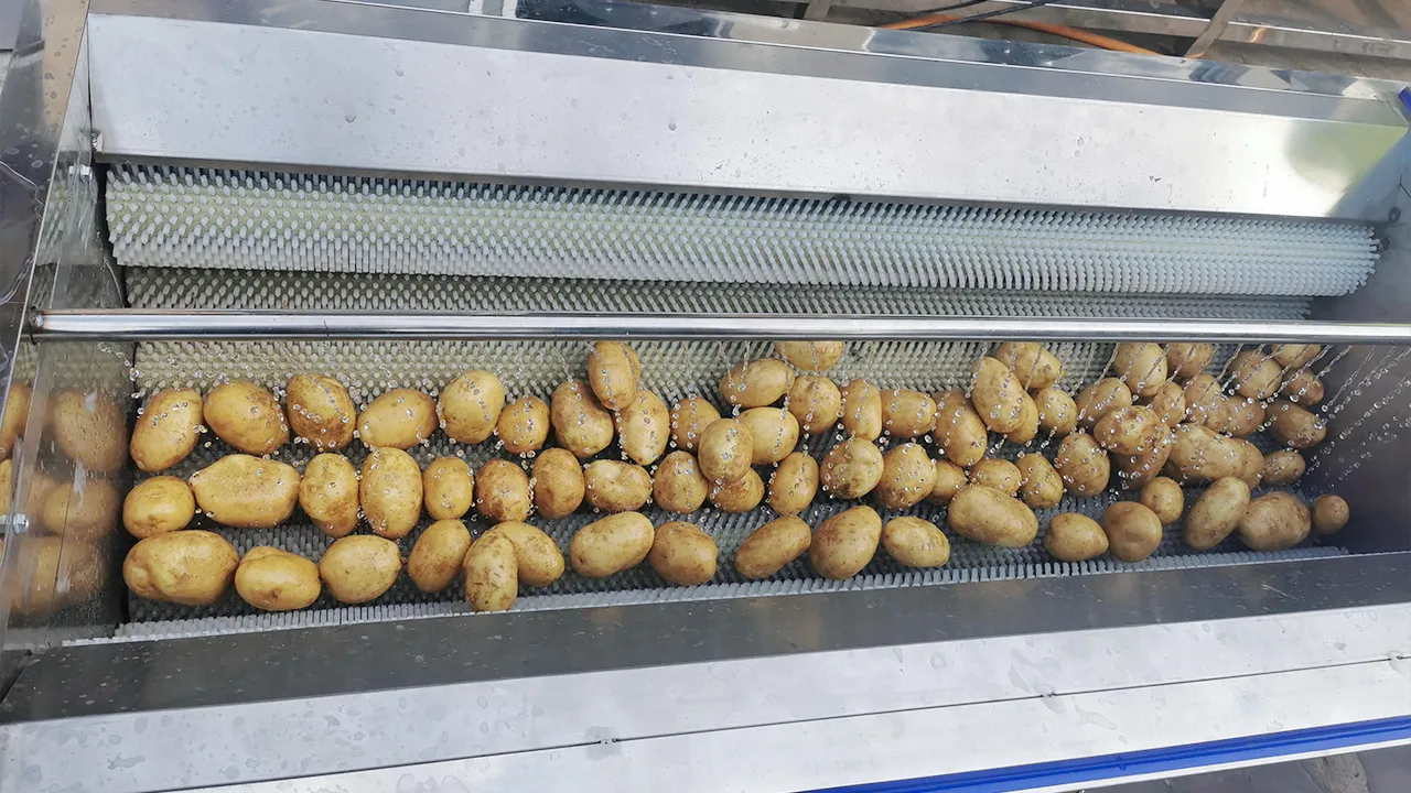 Potato cleaning and peeling machine