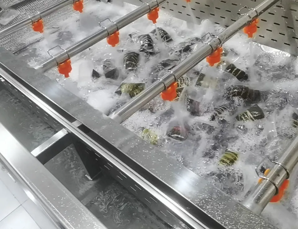 Suzhou Zongzi Bag Cleaning Machine, China